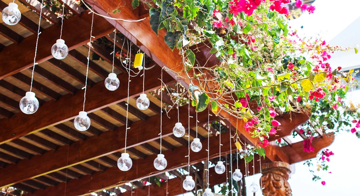 Pérgola con buganvillas y luces